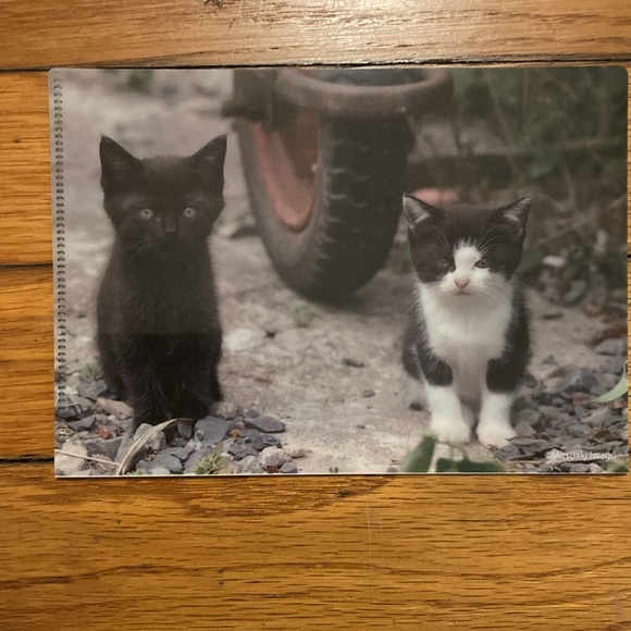 5 Small Plastic Card Folders - Picture 4 of 8